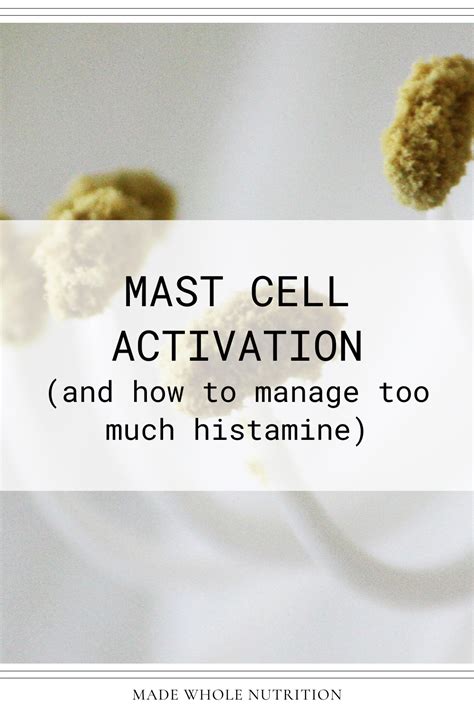 MAST CELL ACTIVATION (and how to manage too much histamine ...