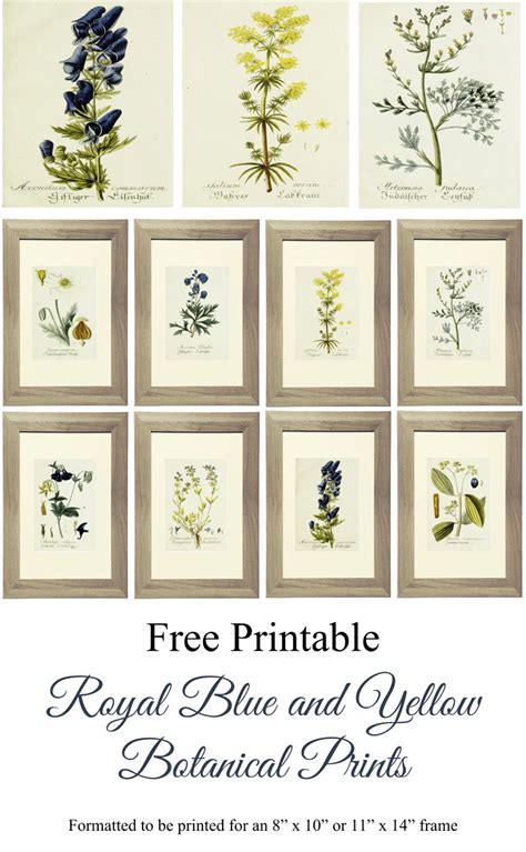 Vintage Botanical Prints For Free Printable Art