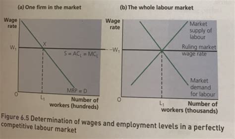 Microeconomics 4 The Labour Market Flashcards Quizlet