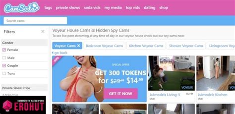 Top The Best Live Sex Cam Sites Erohut