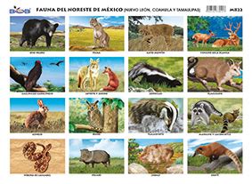 M822 Fauna del Noreste de México 25 pzas Ediciones Bob Shop