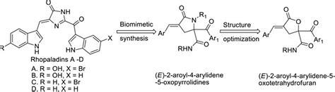 Frontiers Green Synthesis Crystal Structure And Antifungal Activities Of E 4 Arylidene 5