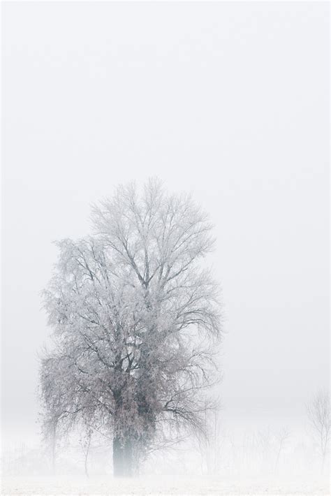 Alone In Winter View On Black Or Press L Umberto Salvagnin Flickr