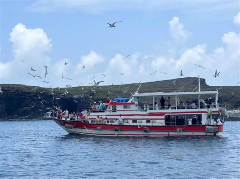 2024澎湖四季旅遊 澎管處推出「春賞鷗跳島遊程」