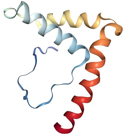 HMG4 HMGB3 Protein Overview Sino Biological