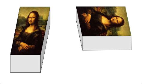 Shepard's Mona Lisa Illusion