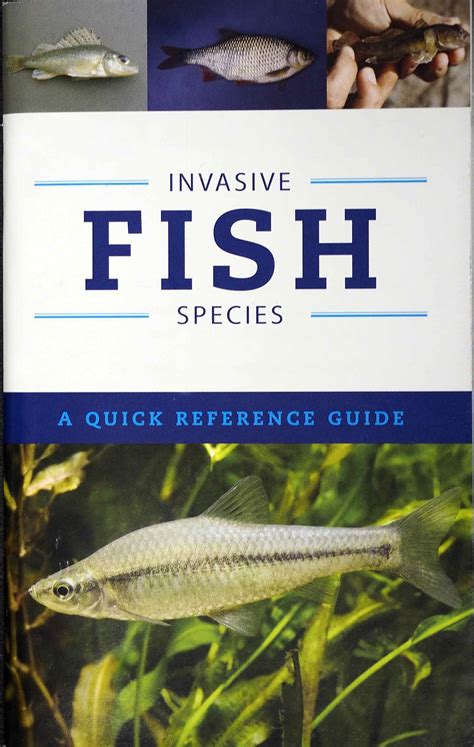 Invasive Fish Species A Quick Reference Guide The First Cast Hook