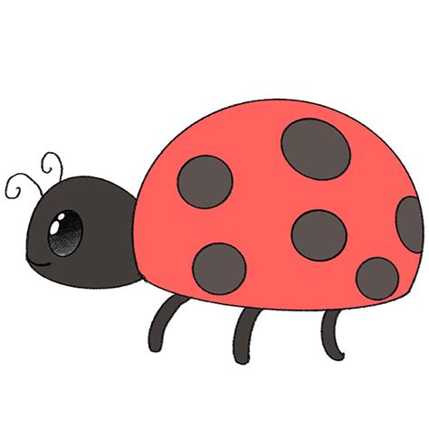 How to Draw a Ladybug - Easy Drawing Tutorial For Kids