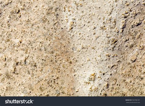 Pebble Stone Texture Background Stock Photo 592786181 | Shutterstock