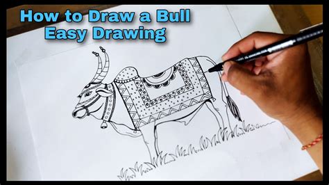 draw  bull bar  ella dierking blog