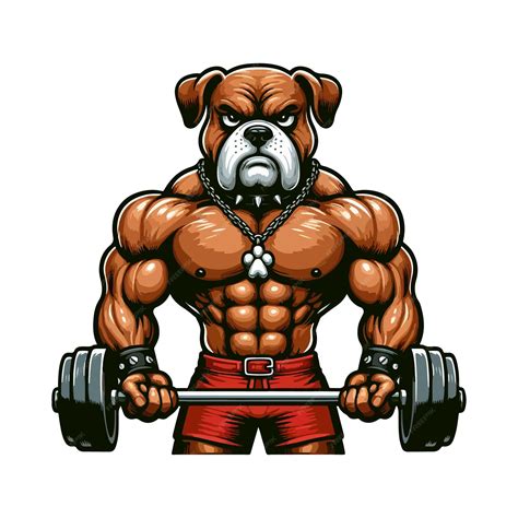 Big Muscly Angry Dog Beast Masculine Bodybuilder Vector Illustration