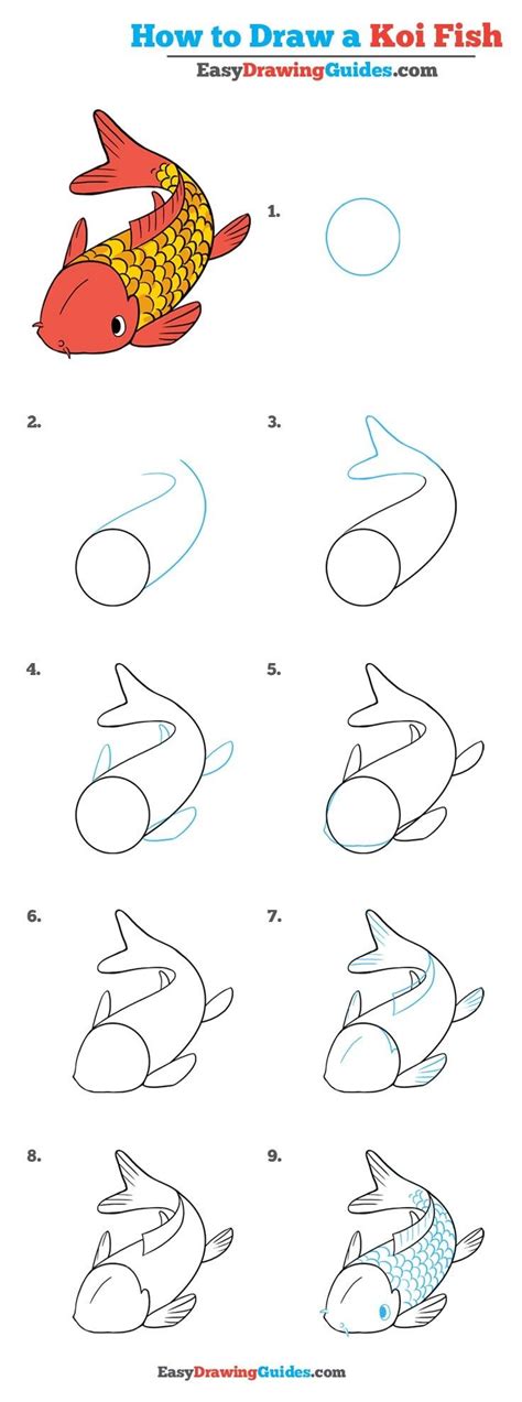 How to Draw a Koi Fish - Really Easy Drawing Tutorial