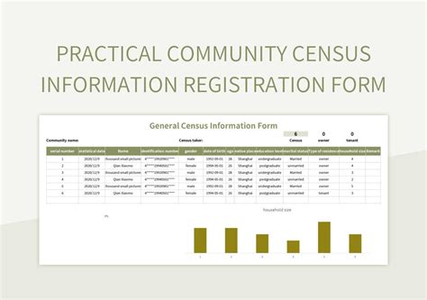 Census Information Registration Form Excel Template And Google Sheets