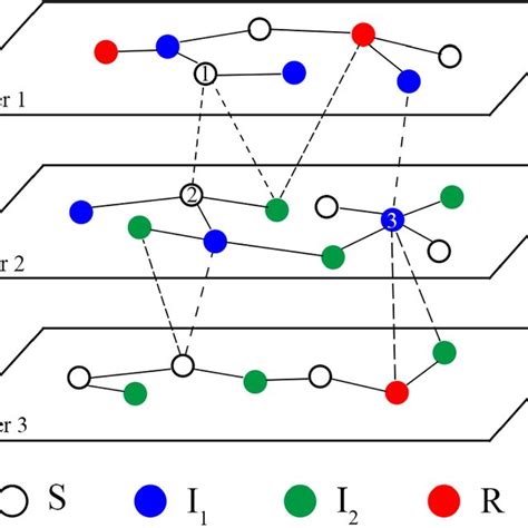 Three Layer Network Model Adopted In The Current Paper Inside Each