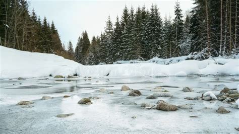 Agua Congelada En El Bosque Imagen De Archivo Imagen De Paisaje