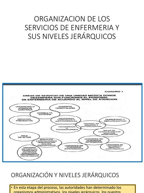 A 3 Niveles Jerárquicos Pdf Enfermería Gestión De Recursos Humanos