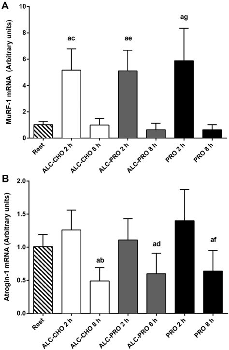 Murf A Atrogin B Mrna Abundance At Rest And Following A Single