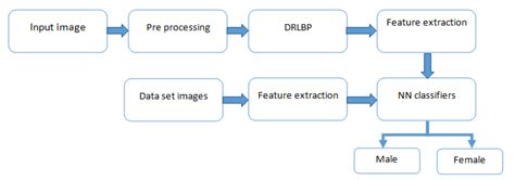 Gender Classification Using Python Opencv