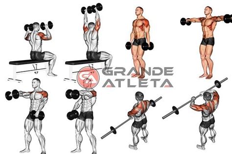 8 Melhores Exercícios Para Ombros Gigantes Exercícios Ombros