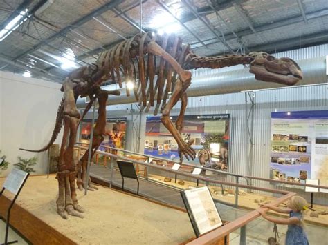 Explore Australian Dinosaur Trail with Your Kids - Newy with Kids