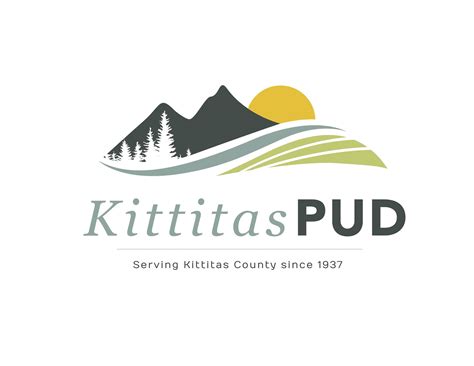 Kittitas - To optimize energy efficiency, ensure your fireplace damper