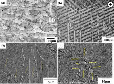 Typical Microstructure Of As Built LPBF IN718 Where A And B Show