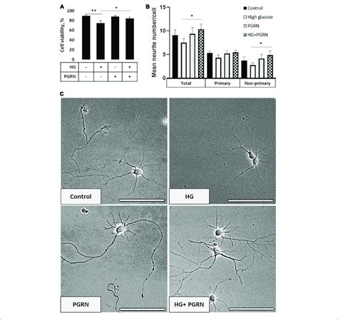 Neuronal Viability And Neurite Outgrowth In Neurons Treated With High