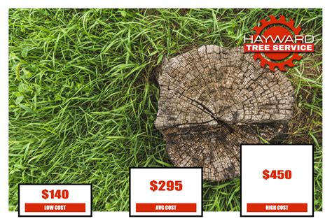 How Much Does Stump Grinding Cost Hayward Tree Service