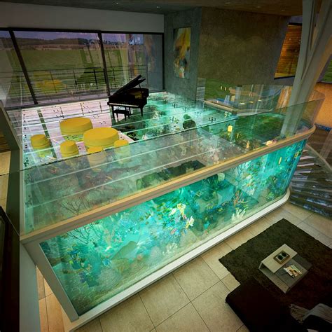 Blogs RedFin Aquarium Design