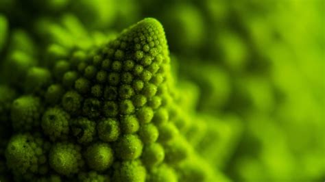 Green Fruit Romanesco Food Macro Green Hd Wallpaper Wallpaper Flare