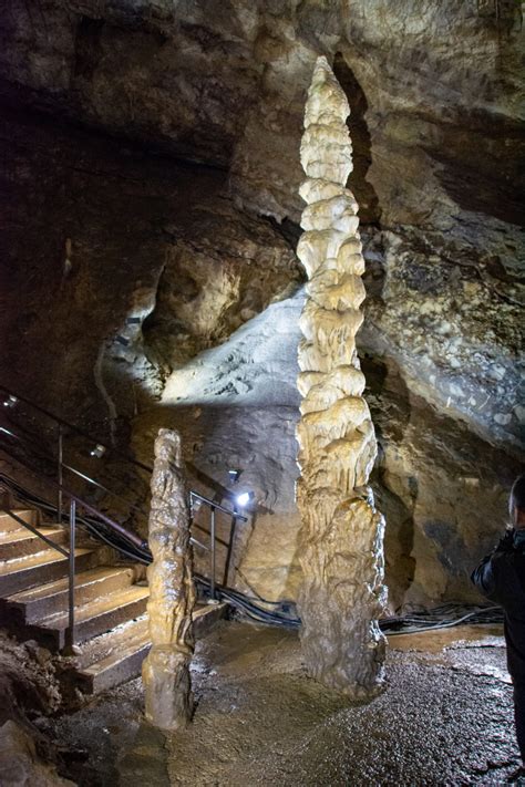 Le Domaine Des Grottes De Han Une Immersion Nature En Belgique Un