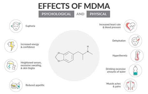 Molly Drug Effects