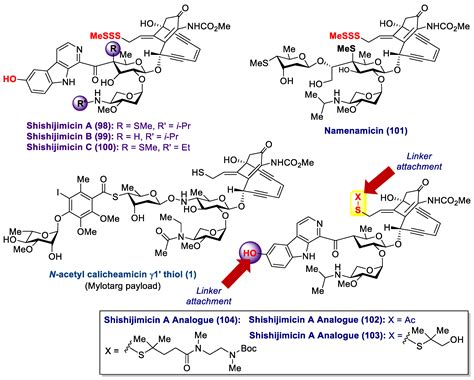 Marine Drugs Free Full Text Antibody Drug Conjugates Containing