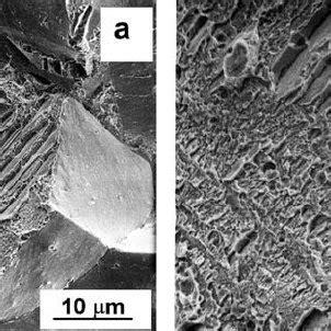 SEM Image Of Intergranular Fracture Of Fe0 35C1 5Mn0 1P Steel After