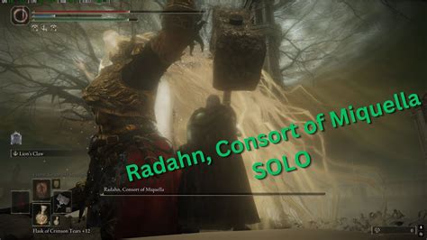 Elden Ring Shadow Of The Erdree Final Boss Fight Promised Consort