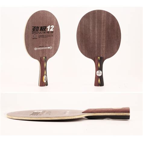 Cốt vợt DHS PG 12