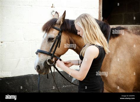 Portrait D Une Jeune Fille Blonde Et Son Cheval Brun Photo Stock Alamy