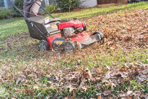 Best Mulching Riding Lawn Mower Best Neely Wenonah