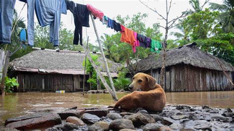 Alerta Amarilla En 61 Municipios De Chiapas Por Lluvias Deslave Afecta