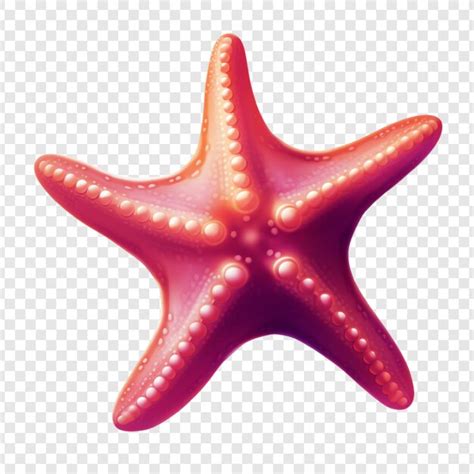 A Purple Starfish With A Pink Tail Premium Ai Generated Psd