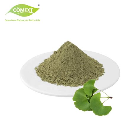 Comext ISO Fssc 22000 Factory Price Ginkgo Bilola Leaf Powder Extract