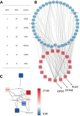 Frontiers Multiple Targets Related To Mitochondrial Function Unveiled