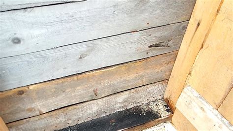 Моя новая углярка. - YouTube