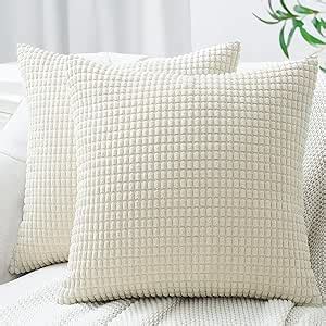 Topfinel Housse Coussin X Lot De Coussin Canape En Velours