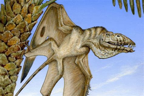 Oldest Ever Flying Reptile Discovered In Utah