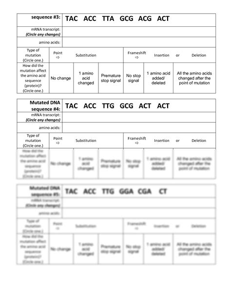 Mutations Worksheet