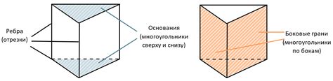 Призмы — что это, определение и ответ
