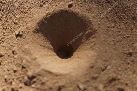 Antiguo hoyo pequeño en el suelo o estepa o campo con textura de tierra