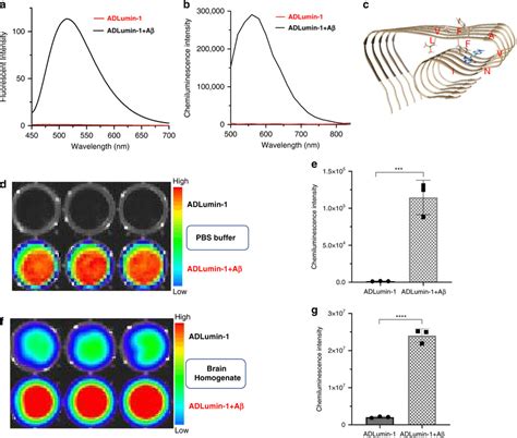 In Vitro Characterization Of Fluorescence And Chemiluminescence