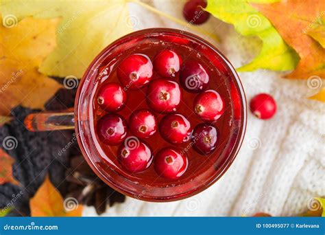 Fall Cranberry Drink Over Warm Wool Clothes With Autumn Leaves Stock